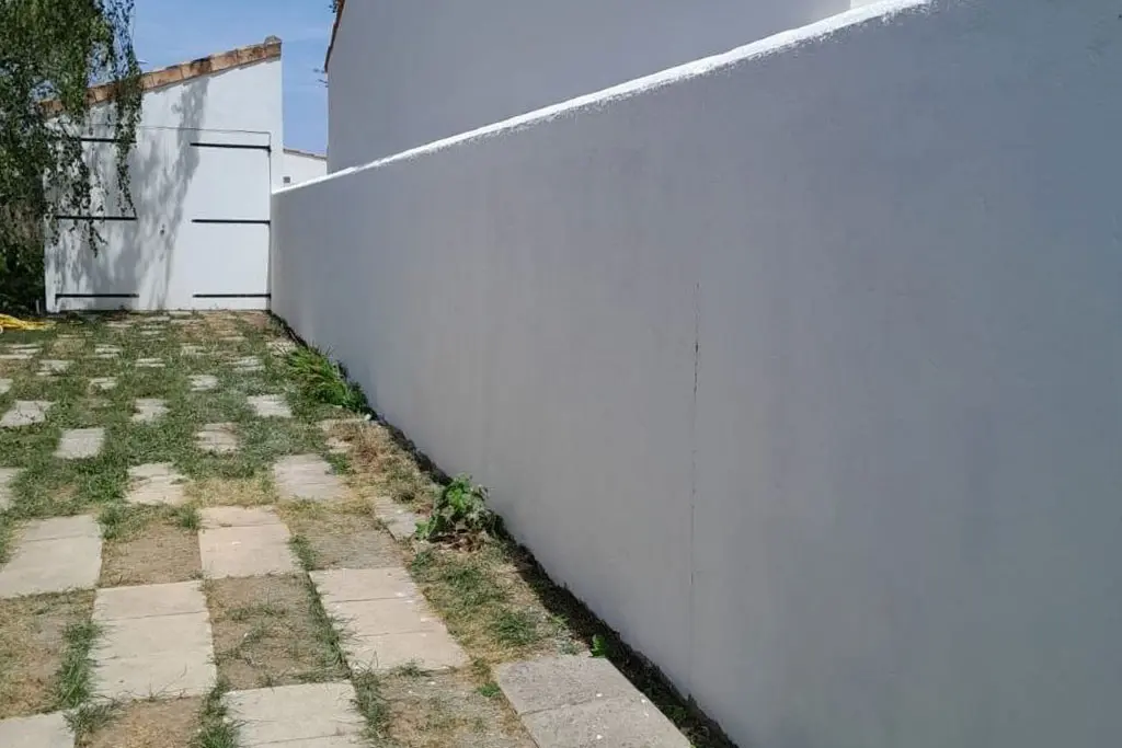 Nettoyage de murs et murets